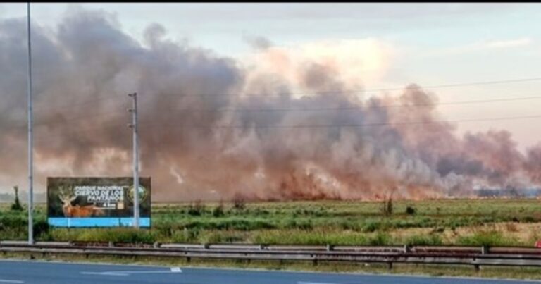 Se agrava el incendio en Campana y el fuego amenaza con cortar la ruta 9