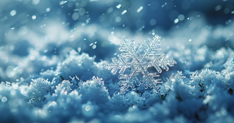 Alerta en Florida ante la posible caída de nieve y lluvias heladas