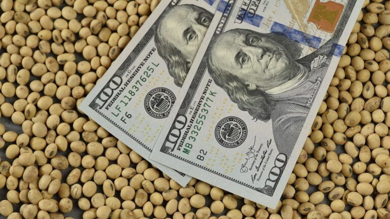 Baja temporal a los Derechos de Exportación: se estima que el costo fiscal será de u$s800 millones