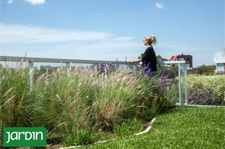 Te contamos cómo las plantas pueden ayudarte a reducir la factura de electricidad este verano