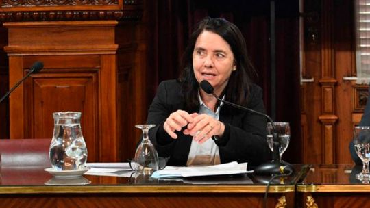 «No creo que los niños tengan derecho a ser curados en el Garrahan», polémica declaración de una senadora