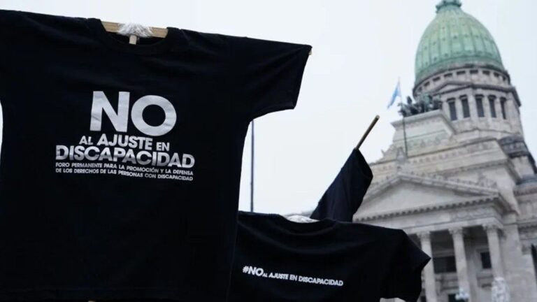 El Senado debatirá el rechazo del veto a Discapacidad y la regulación de los DNU